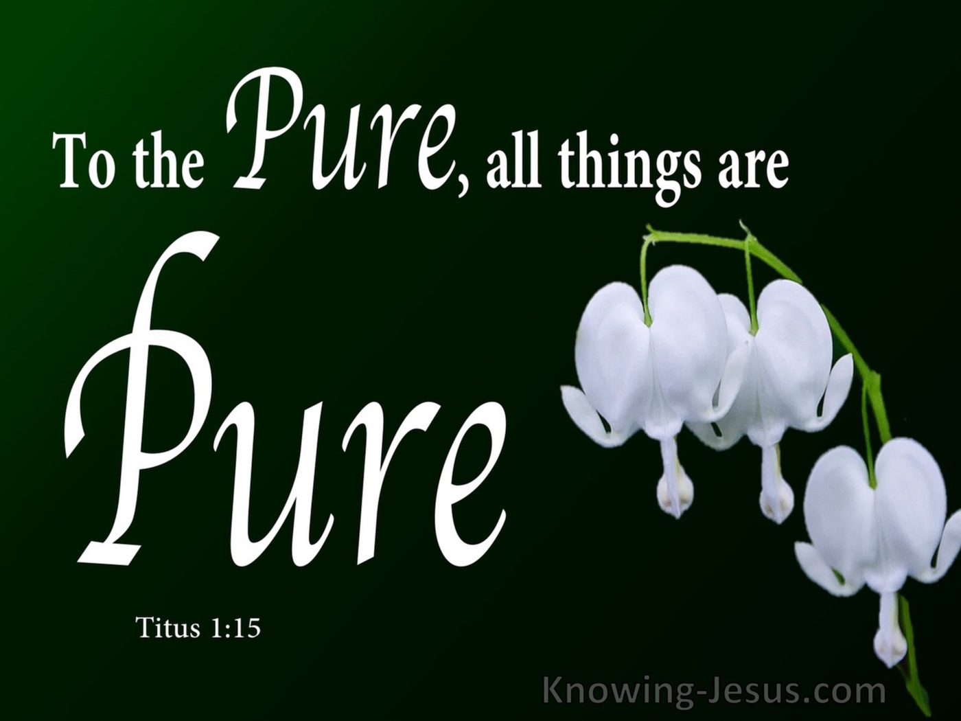 Titus 1:15 To Pure All Things Are Pure (white)